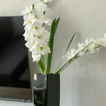 Modern Close To The Center And The In By Renters * 그디니아